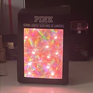 VS PINK Sting Lights Dogs Display Rare